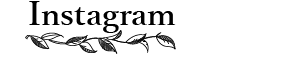 インスタグラム